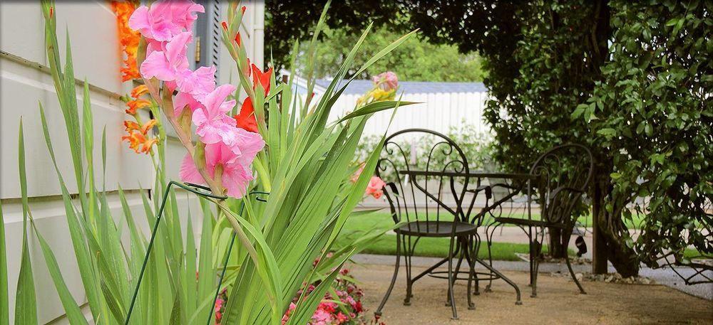 Arbor Guest House ナパ エクステリア 写真