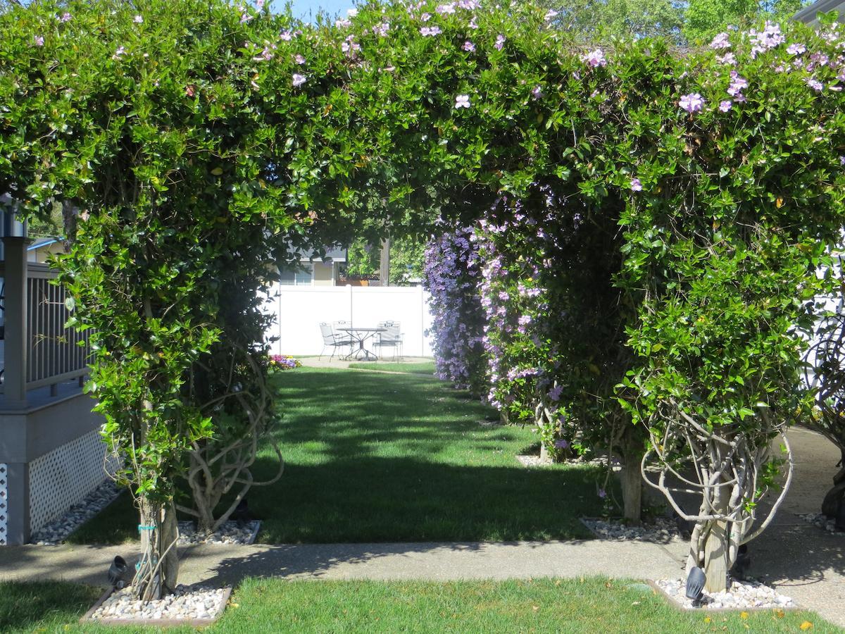 Arbor Guest House ナパ エクステリア 写真